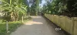 Thiruvalla Venpala Near 24 Cent House Plot.