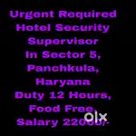 Supervisor needed in 5 Star Hotel Panchkula