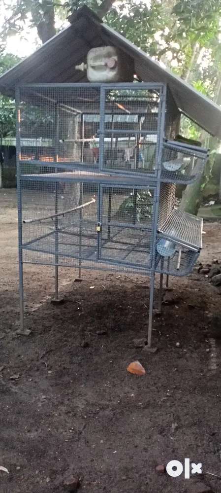 HENS CAGE FOR SALE