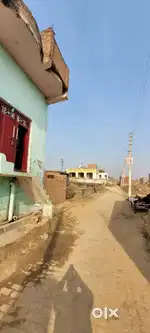 House 50 GAJ