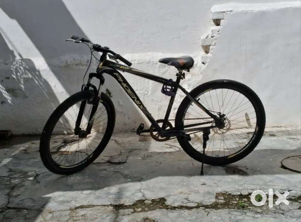 Phoenix bicycle for sale