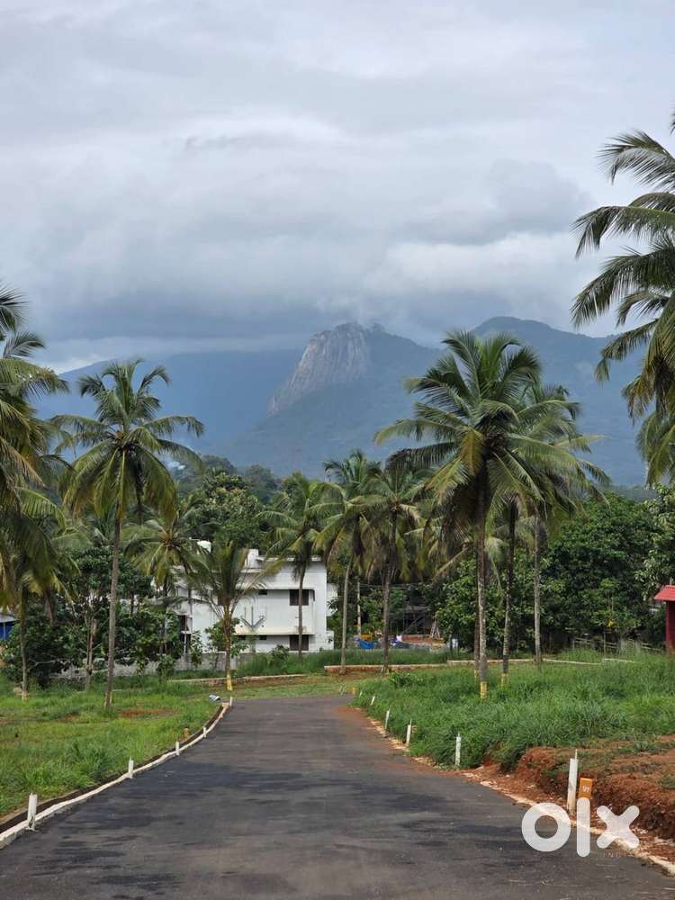 9 Cent House plot for sale in Viyyakurissi,Palakkad