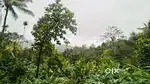 Plot for sale near by Anachal Munnar
