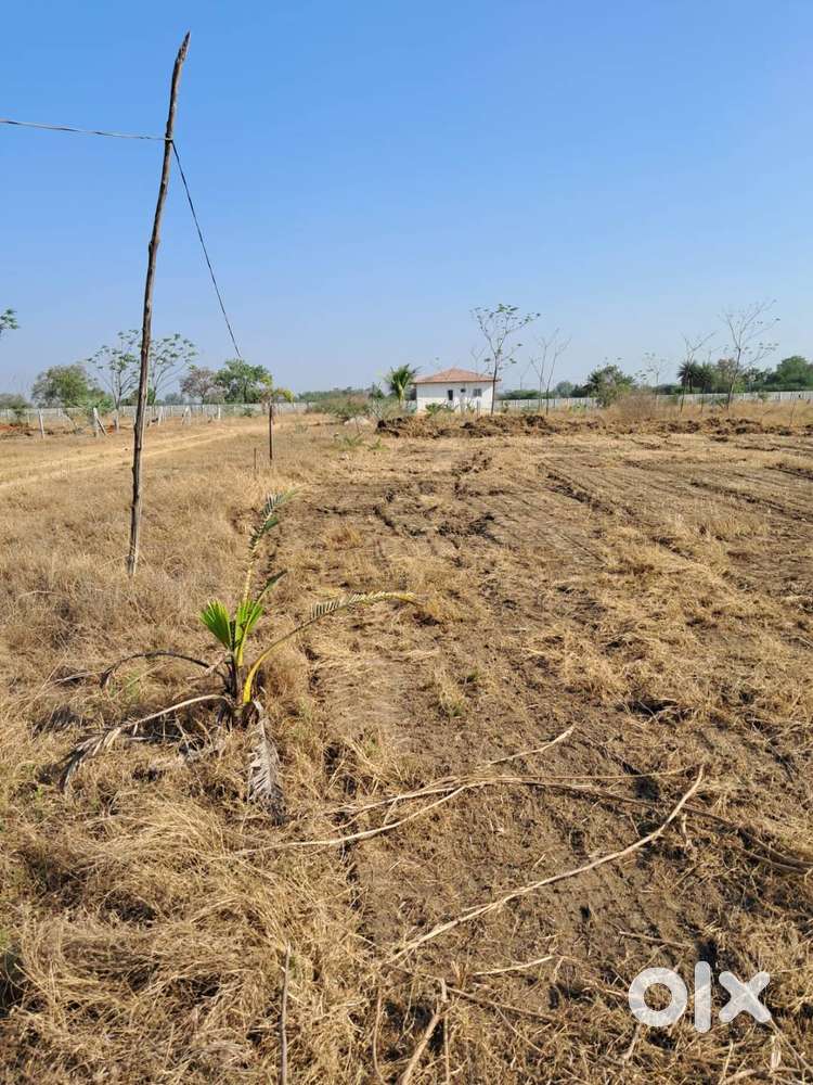 Farm Plot for Sale – Near Kandhi & Erdanoor, Sangareddy