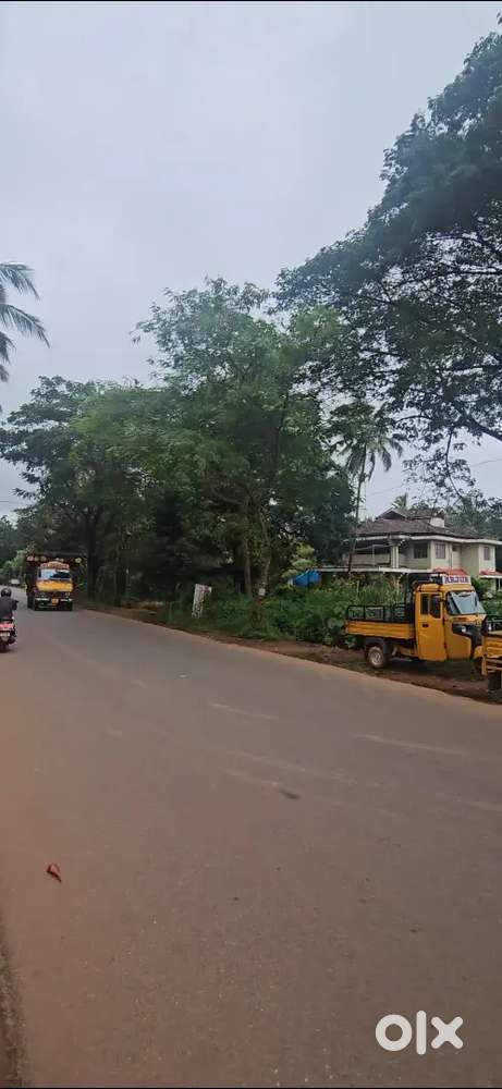 1 Acre commercial Land Mayyil kannur