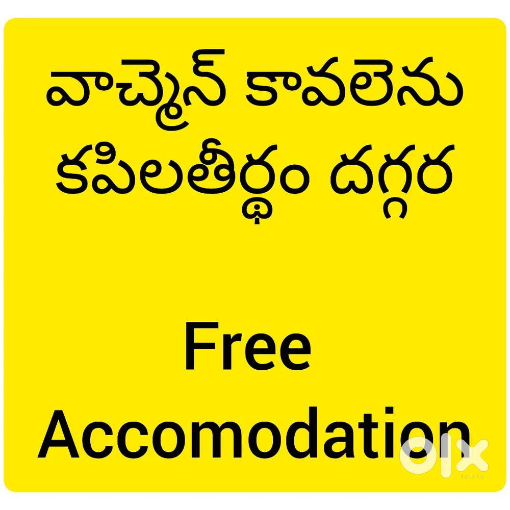 Watchman required free accomodation