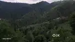 Beautiful Plot, Mashobra, Shimla,10.5 Biswa, full day Sunny