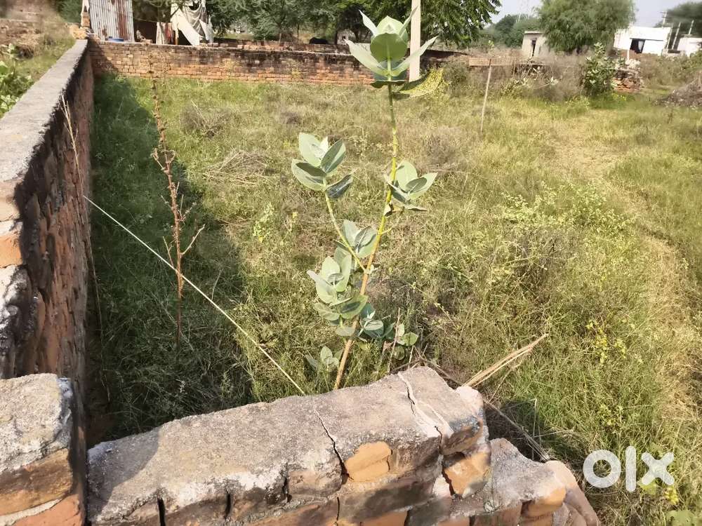 Plot for sale