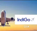 Limited Seats Are Available In Indigo Airlines Authority
