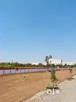 PMRDA Sanction For Immediate Sale. Invest In NA Plot Sanawadi