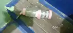Pet automatic water