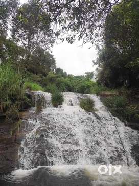 50 CENTS RIVER ADJACENT PALLANGI PROPERTY SALE @JUZ 35K PER CENT