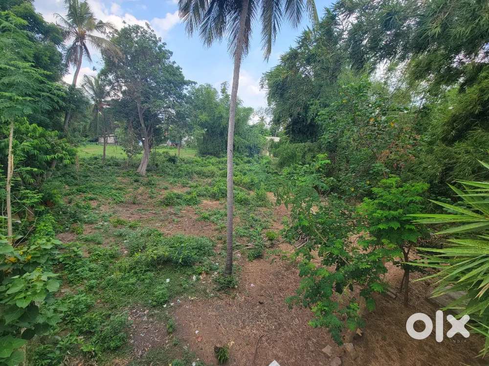 15404sqft Land for sale(900sqft) at Kuthalam