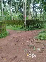 Land with clear boundaries available for sale
