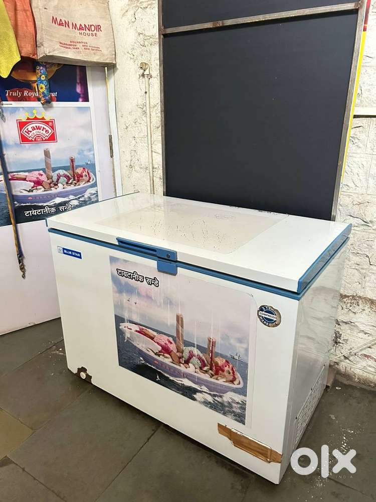 Blue Star Deep Freezer for Sale – Perfect for Ice Cream / Dairy / Rest
