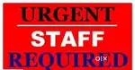Job required Sales boy/ technician/