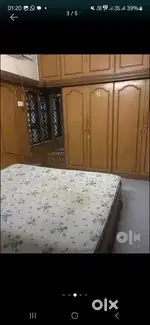 Pandri 2bhk full furnished house available for rent