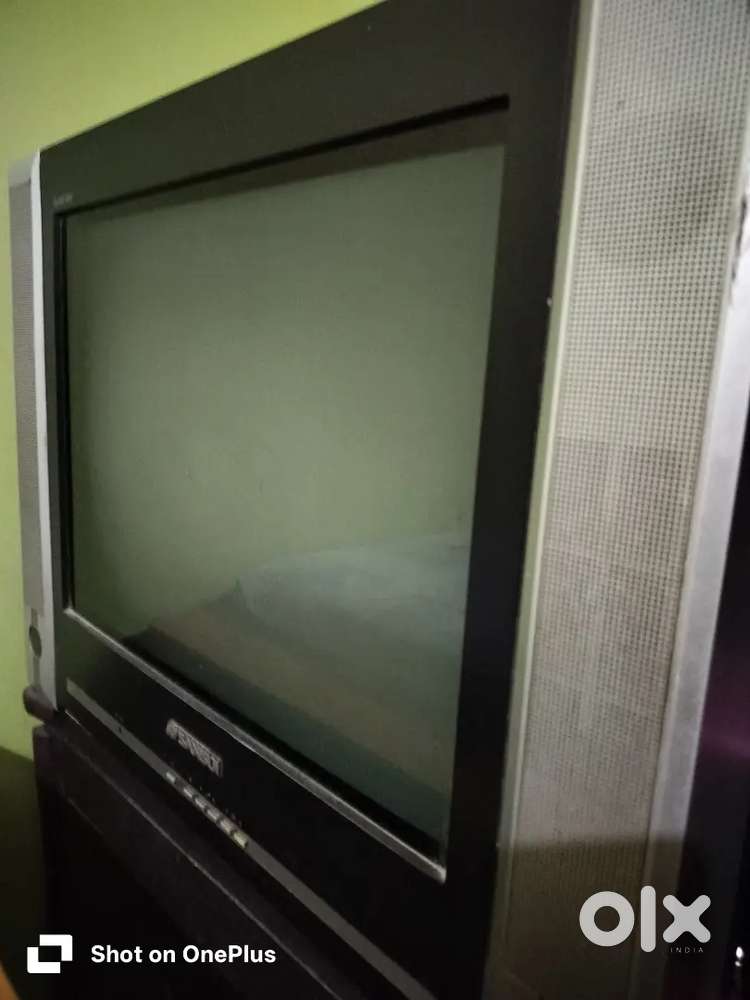 TV HSANSUI along with the woofer