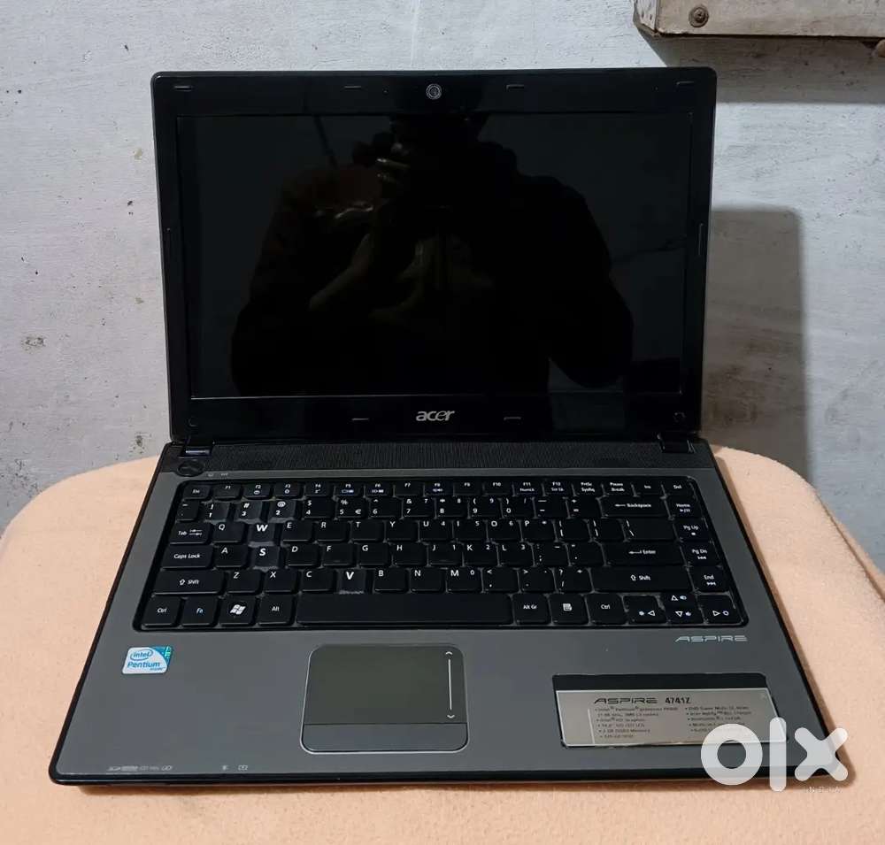 Acer aspir