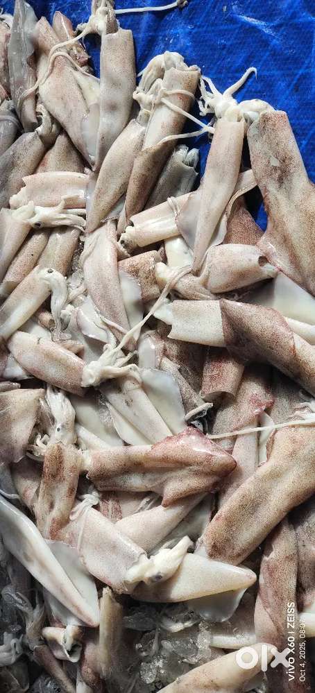 Need staff fish shop
