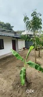 House for lease 3.75lakh ,near vandanam hospital,100 away frm NH