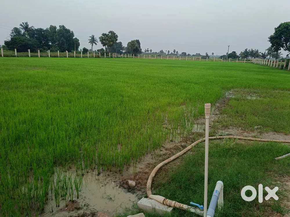 Agriculture Poly house supervisor