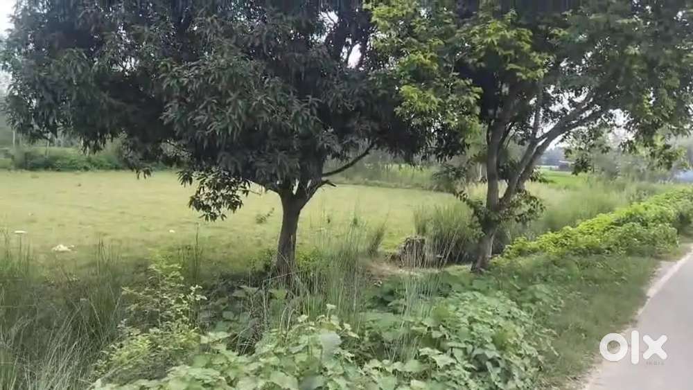 आम और अन्य फसलों के लिए बढ़िया खेती की जमीन बिकाऊ हैं