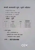 Fully Office Work