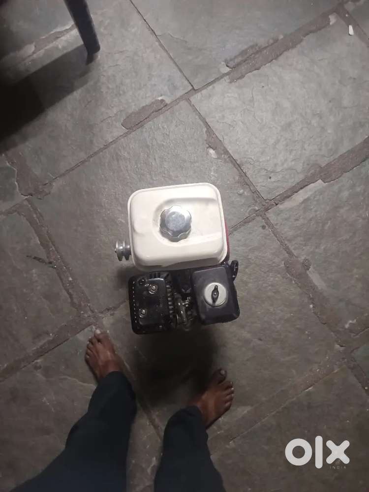 New mottar