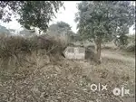 183 sq yards (gaj) Plot sale in Ansal Town Muzaffarnagar