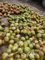 Pondam ₹40 @kasaragod