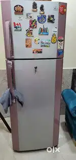 LG 320 litre double door fridge