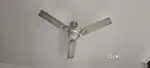 Havells Ceiling fan