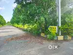 175 Sq KUDA approved layout plot for sale...