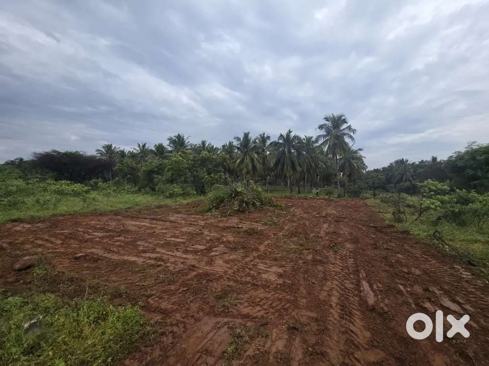 8.6 Cents for sale in Gandhinagar End, 2 lakhs per cent