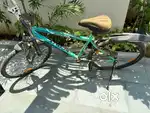 Bicycle without gear