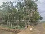 2 acres land for sale