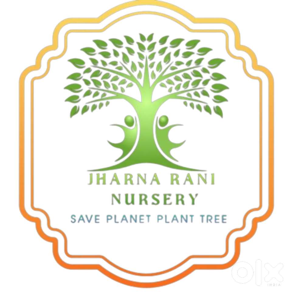 Required a male female in a plant shop at Tangra