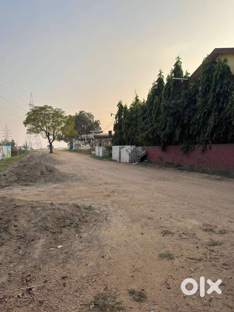 Sky Wood, अपना प्लॉट — Chandigarh के बिलकुल पास!