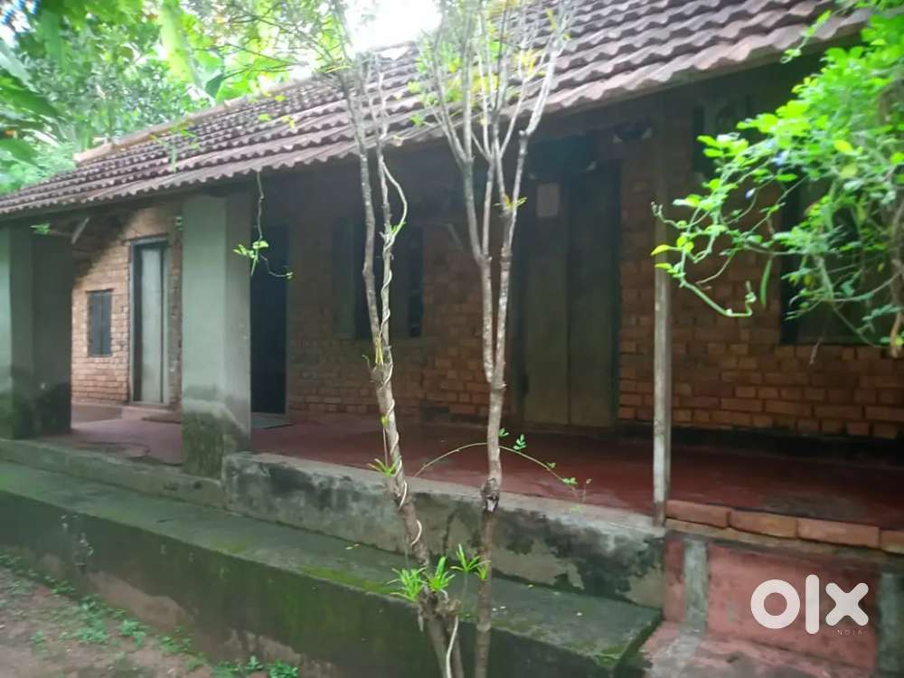 10 കൂടുതൽ cent വസ്തുവും വീടും