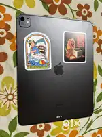Ipad pro M4 13 inch wifi + cellular- 256GB