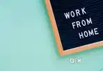 Work from home job