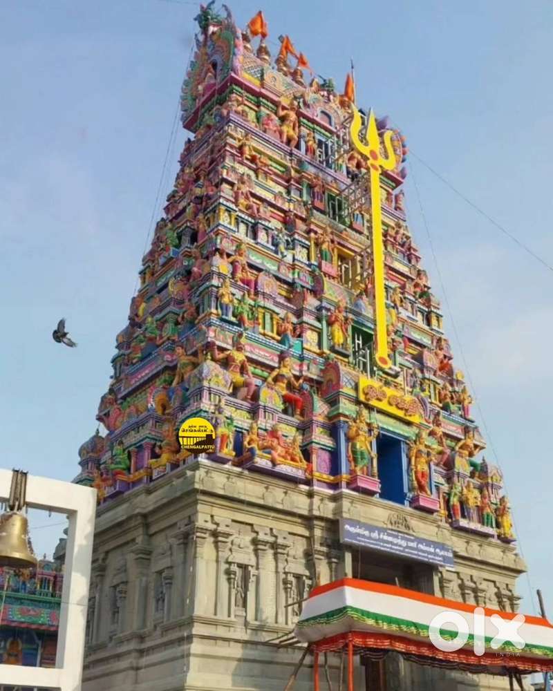 vedachalam nagar Property