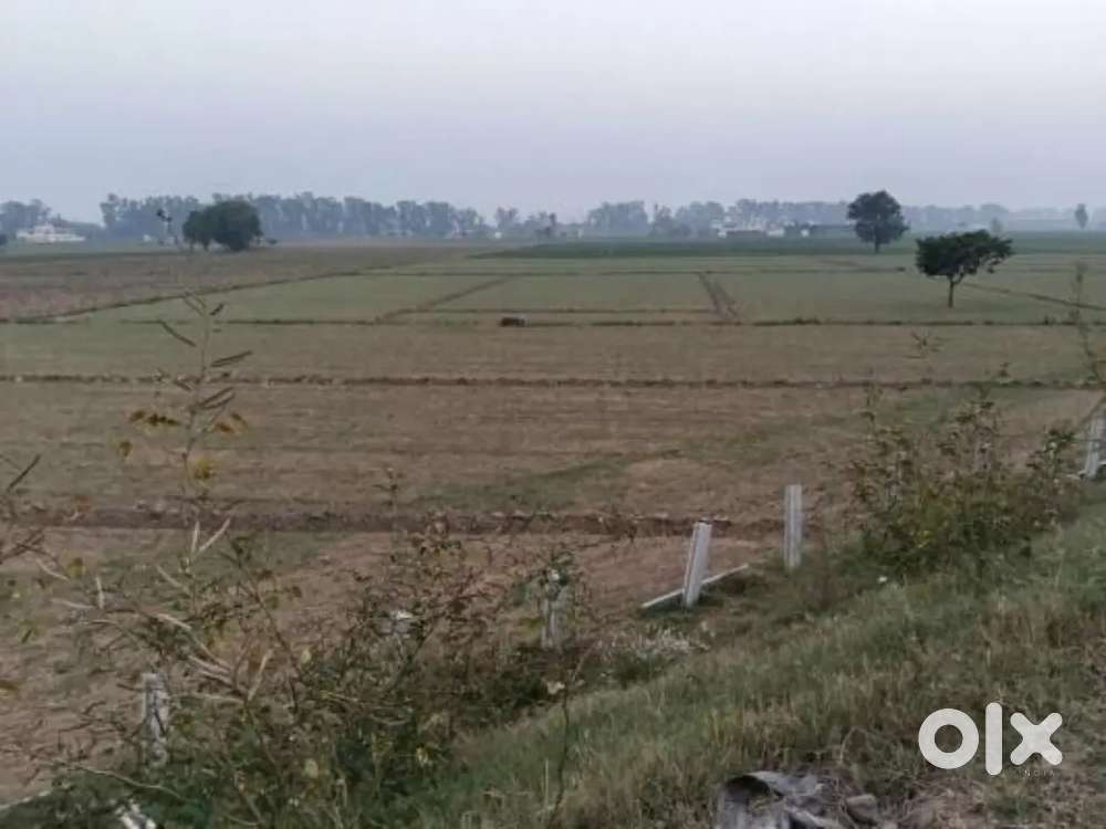 8 Kanal(1Killa) for sell