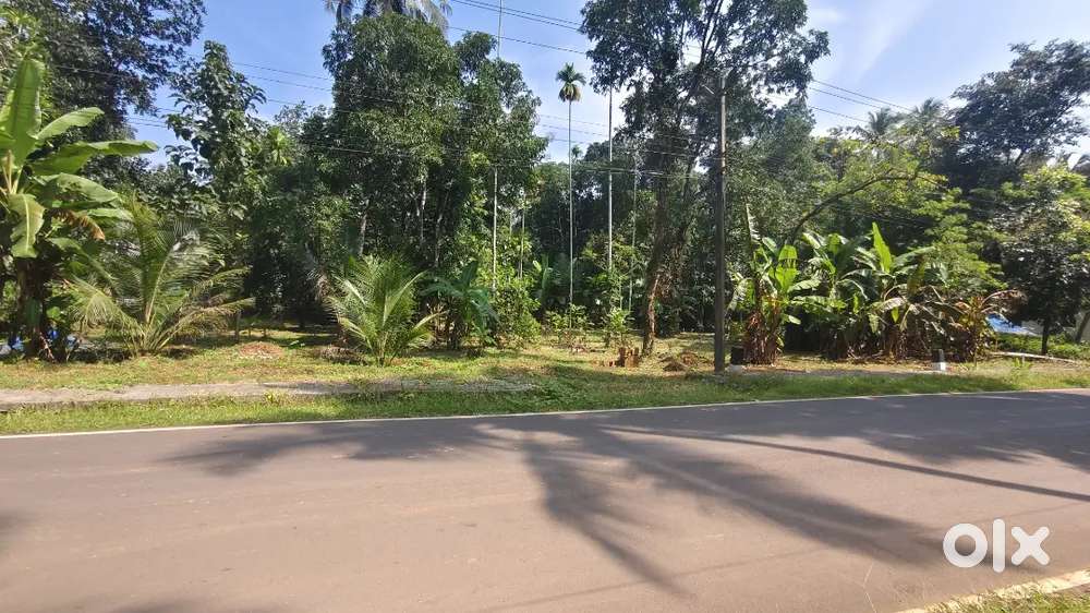 15 cent Main Road side. Chittariparamba -Vattoli