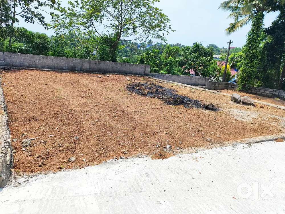 Plot for Sale in Kariyavattom LNCP Nalumukk