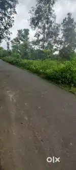 Gandhigram 3 Gonda Jaiga pitch Road thaka 12 feet rast Bikri Kora hova
