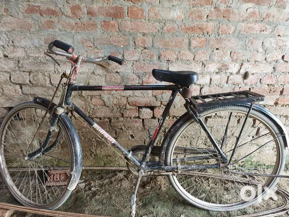 1year old cycle