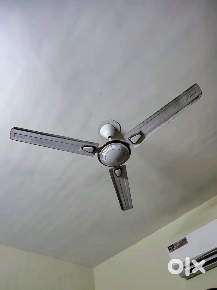 4 ceiling fans, 2 washroom exhaust fans, 1 kitchen exhaust fan