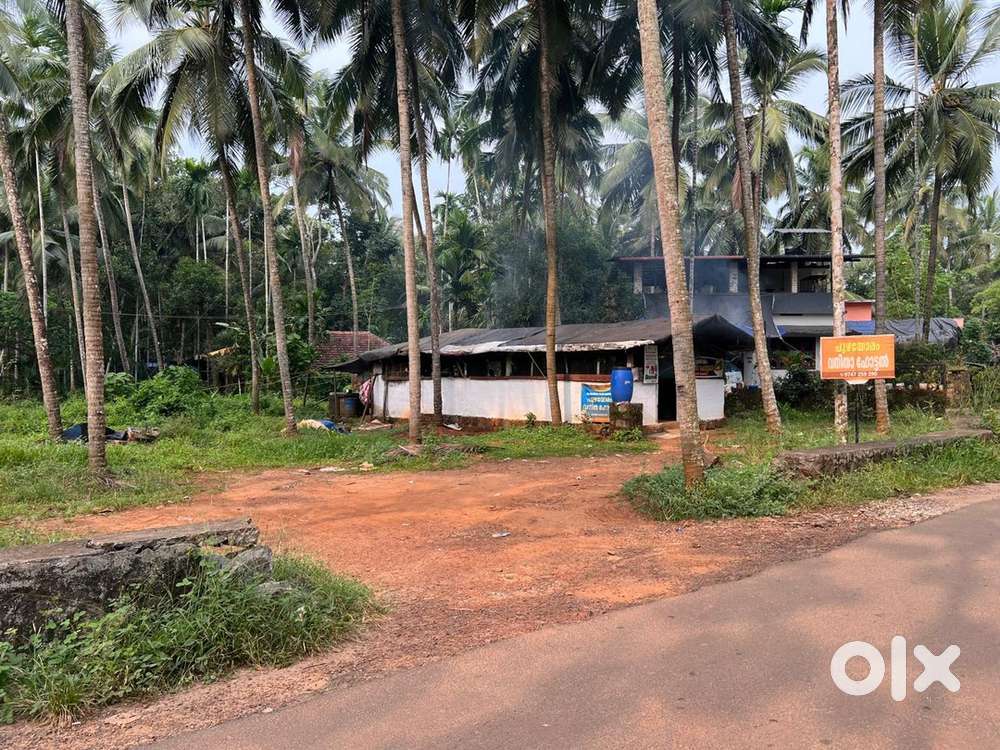 Plot for rent near chandretan chaya kada
